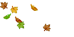 falling-leaves