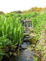 Parc slip brook 2